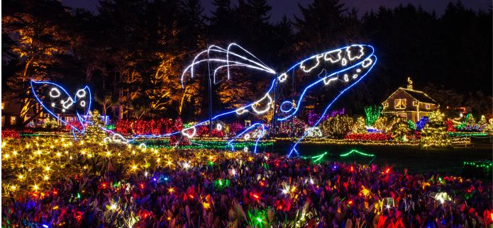The Tradition Returns for 2023! Reserve Your Parking Pass Now for the Holiday Lights at Shore Acres State Park