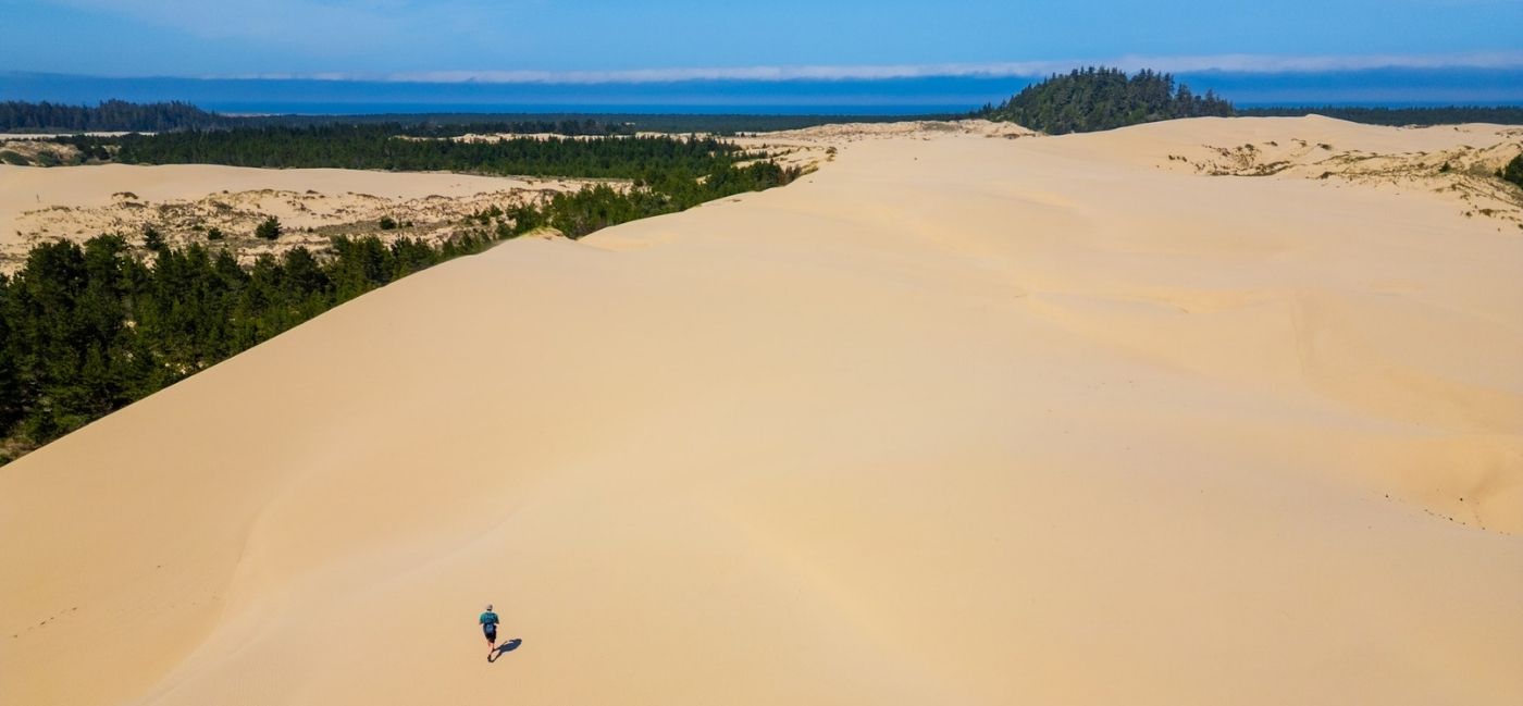 A lone hiker walks across a vast, sweeping sand dune under a clear blue sky, with forested patches and more dunes stretching toward the ocean and a band of low fog on the horizon.