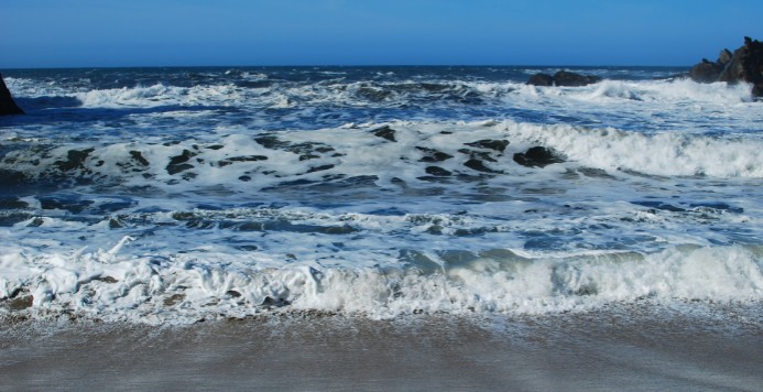 Your Guide to Beach-Combing and Tide-Pooling on Oregon's Adventure Coast 