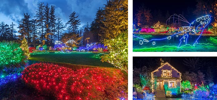 34th Annual Holiday Lights At Shore Acres Oregon S Adventure Coast