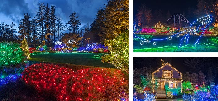 Shore Acres State Park Holiday Lights Has New Timed Entry System for 2022! 