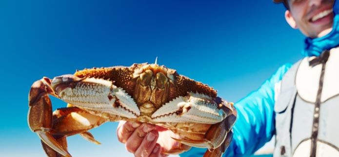 man holding dungeness crab 