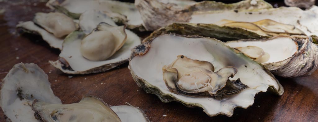 Where Can I Find the Best Oysters on Oregon’s Adventure Coast? | Oregon