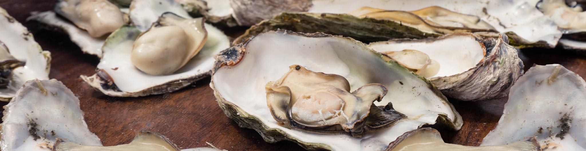 Ah Shucks 15th Annual Charleston Oyster Feed CANCELLED Oregon s Ah Shucks 15th Annual Charleston Oyster Feed CANCELLED Oregon s