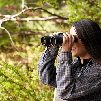 Birdwatching on Oregon's Adventure Coast