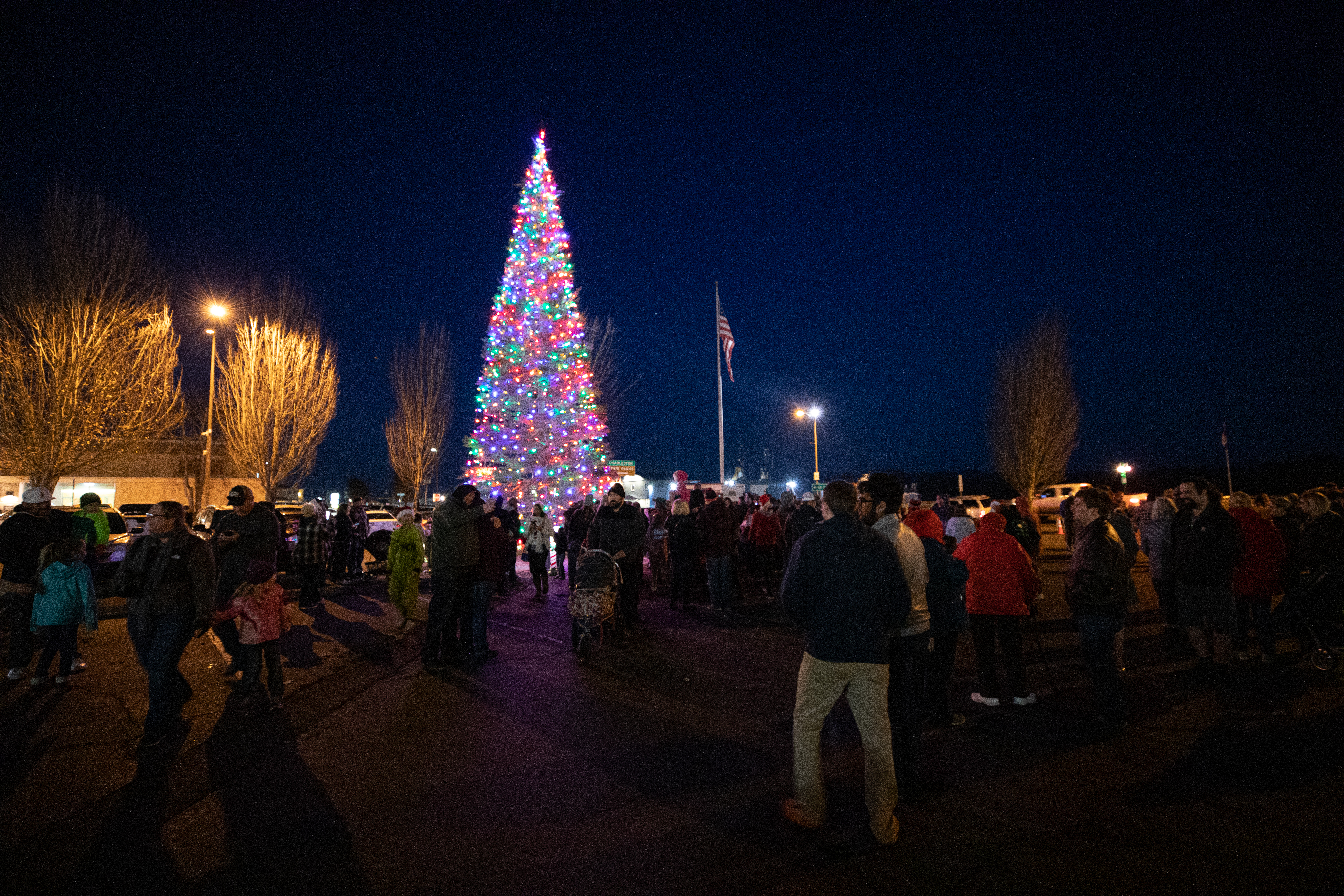 Coos Bay's Lighted Tree