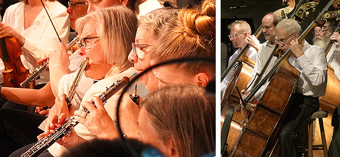 woodwind and cello musicians