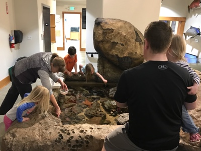 The Charleston Marine Life Center