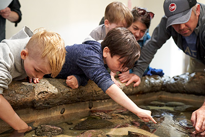 kids with their hands in a tide pool tank at the charleston marine life center