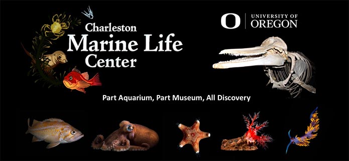 The Charleston Marine Life Center