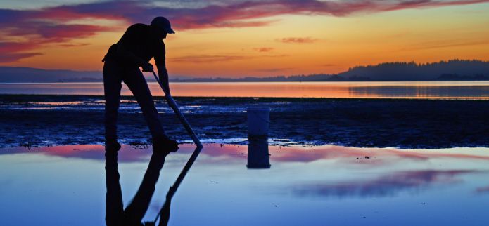 A First-Timer's Guide to Clamming on Oregon's Adventure Coast