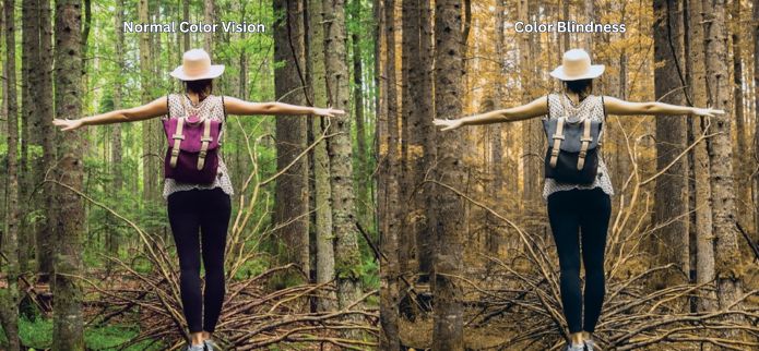 Oregon’s Adventure Coast Announces Support for Color Blindness Awareness Month
