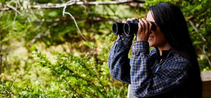 Flock to Oregon’s Adventure Coast for Premier Bird Watching! 