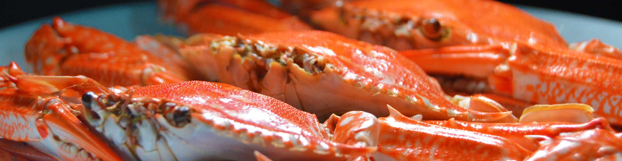 Annual Charleston Crab Feed Oregon's Adventure Coast