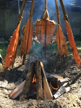 Salmon cooking over campfire on cedar stakes - photographer Jesse Beers