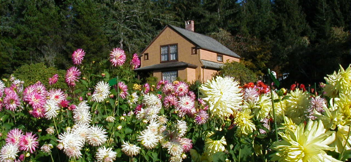 See What’s Blooming This Fall at Shore Acres State Park