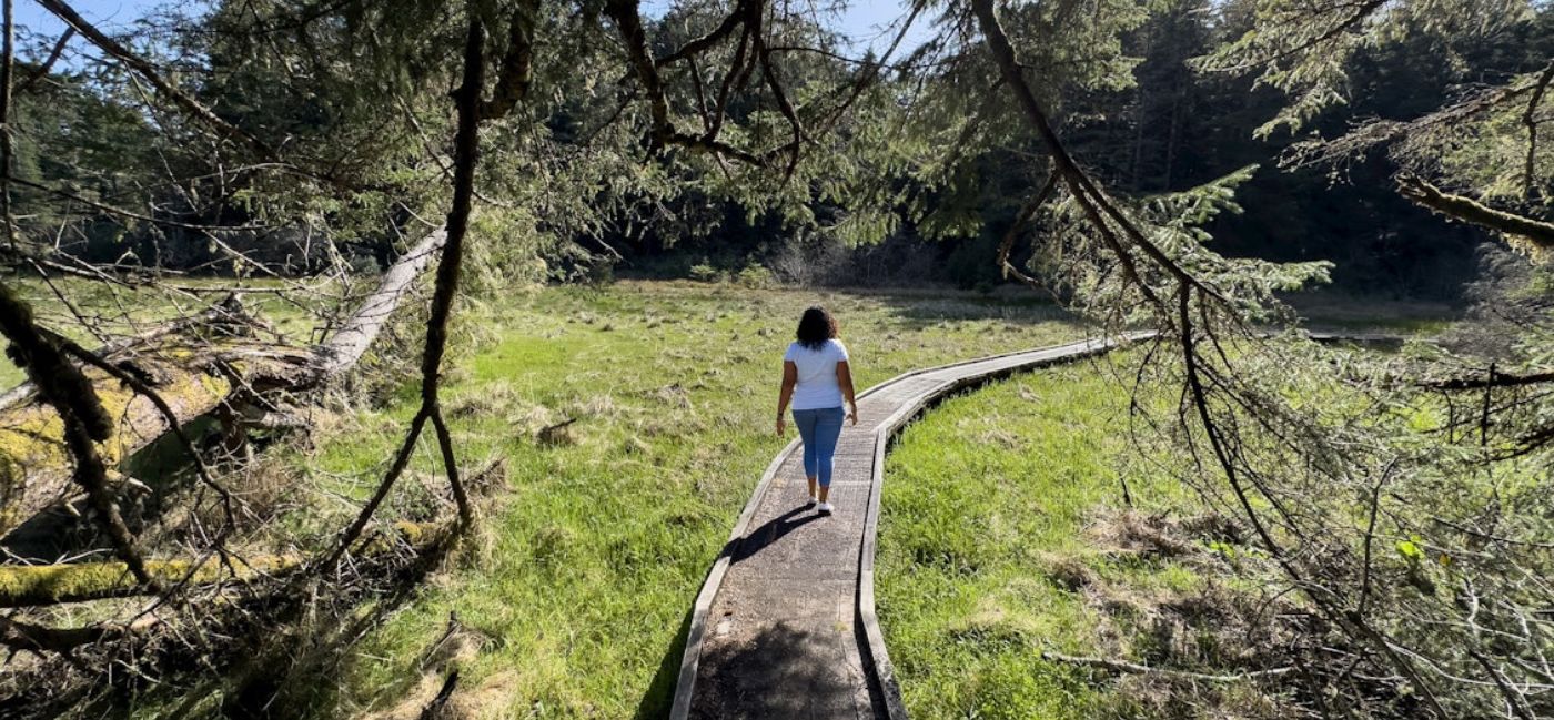 A person walking away from the camera along a curved wooden boardwalk trail through a lush green meadow surrounded by evergreen forest on Oregon’s Adventure Coast, with fallen trees and dappled sunlight visible on either side of the path.
