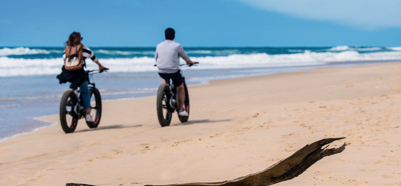 A couple ride a pair of fat tire bicycles along a beach on a sunny day with a peice of driftwood in the foreground.