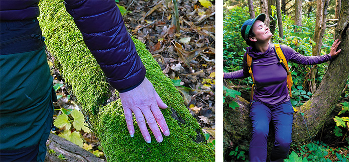hand on mossy fallen tree and woman sitting on tree with eyes closed