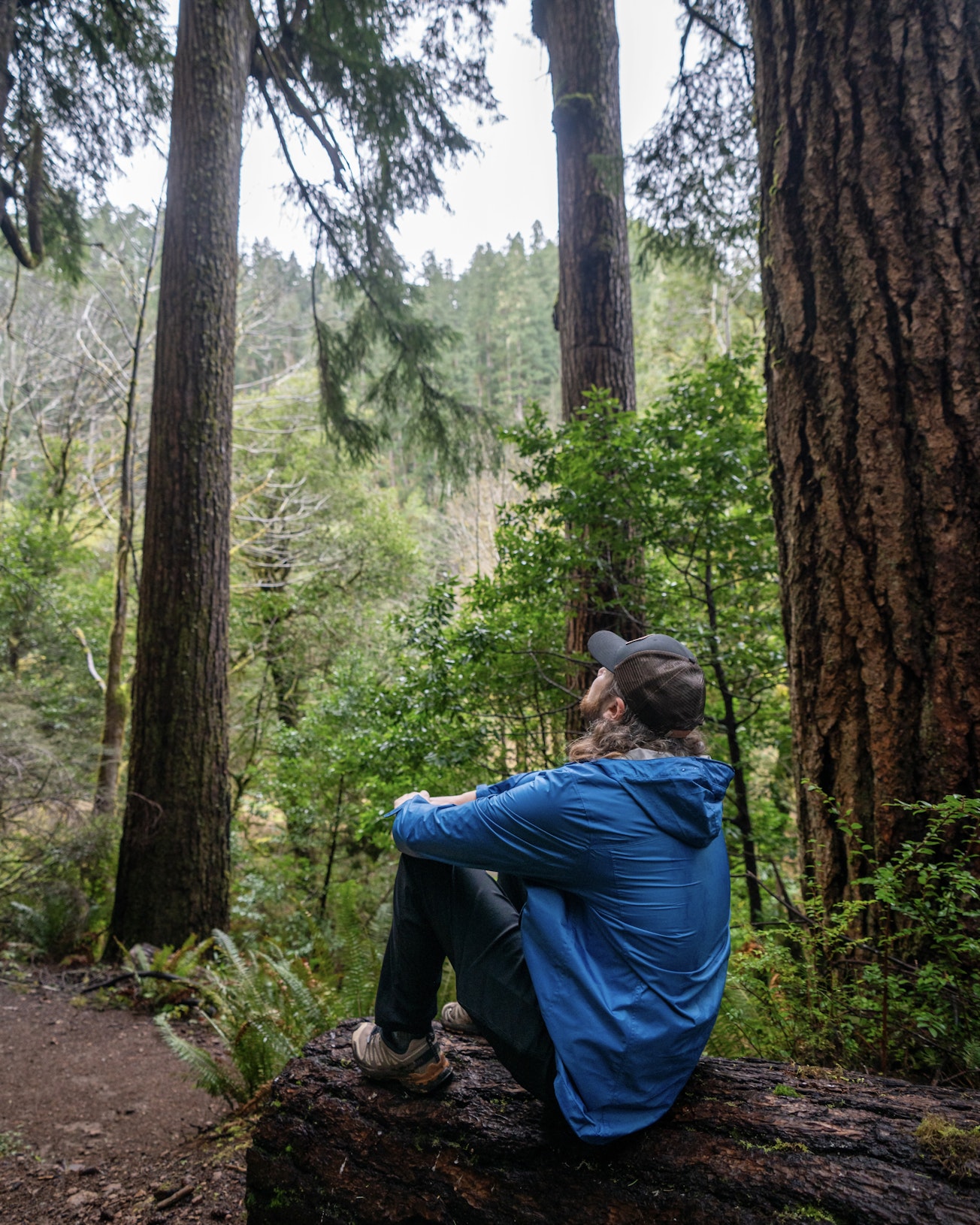 Caleb sits on a fallen log in a lush forest, looking up at tall evergreen trees surrounded by dense greenery and ferns along a wooded trail during a visit to Oregon’s Adventure Coast: Coos Bay, North Bend, Charleston.
