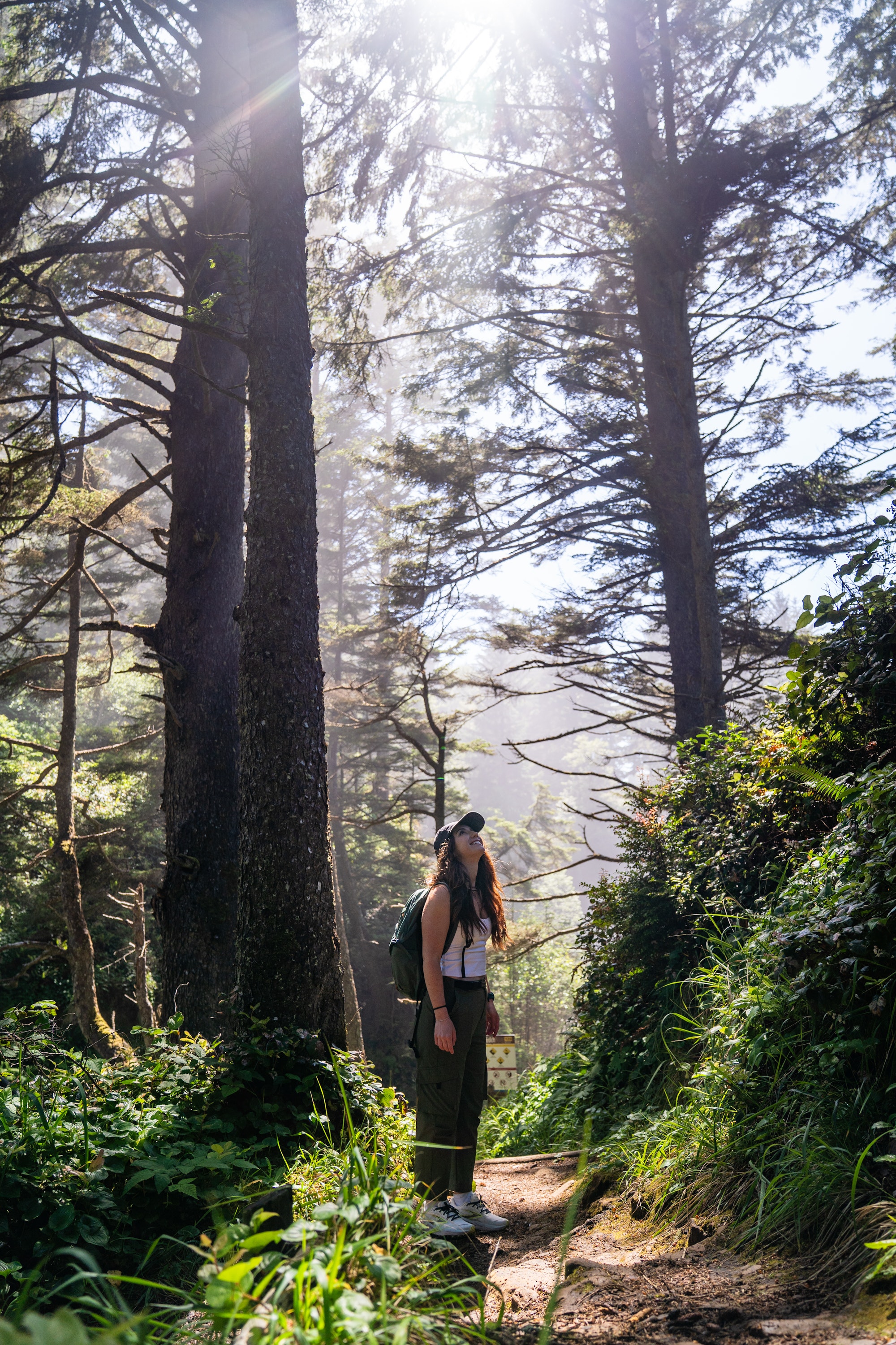 Photography by Adventuring Eyes Woman in a ball cap and backpack pauses on a misty forest trail, looking up at towering pine trees.