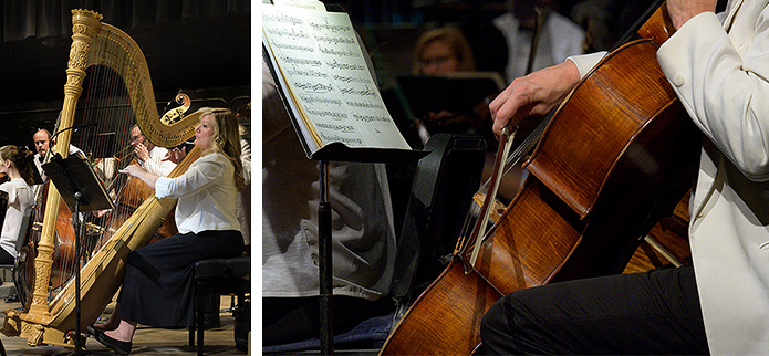 harp and cello musicians