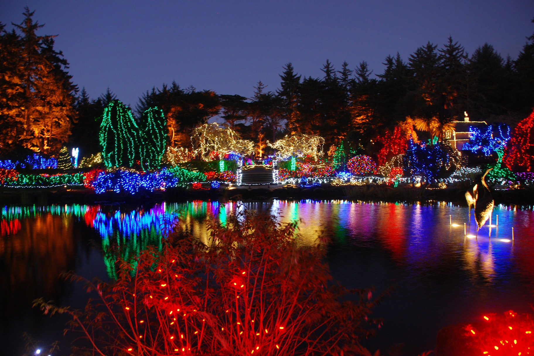 A vibrant nighttime scene at Shore Acres shows trees, shrubs, and garden displays wrapped in colorful holiday lights reflecting across the pond, one of the signature views of the Annual Holiday Lights at Shore Acres on Oregon’s Adventure Coast.