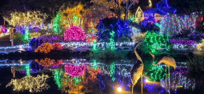 Yes, It's Time to Plan for the 2025 Holiday Lights at Shore Acres