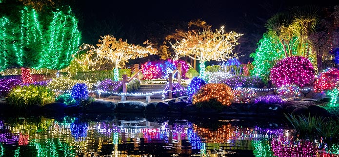 Shore Acres Holiday Lights - Charleston, Oregon