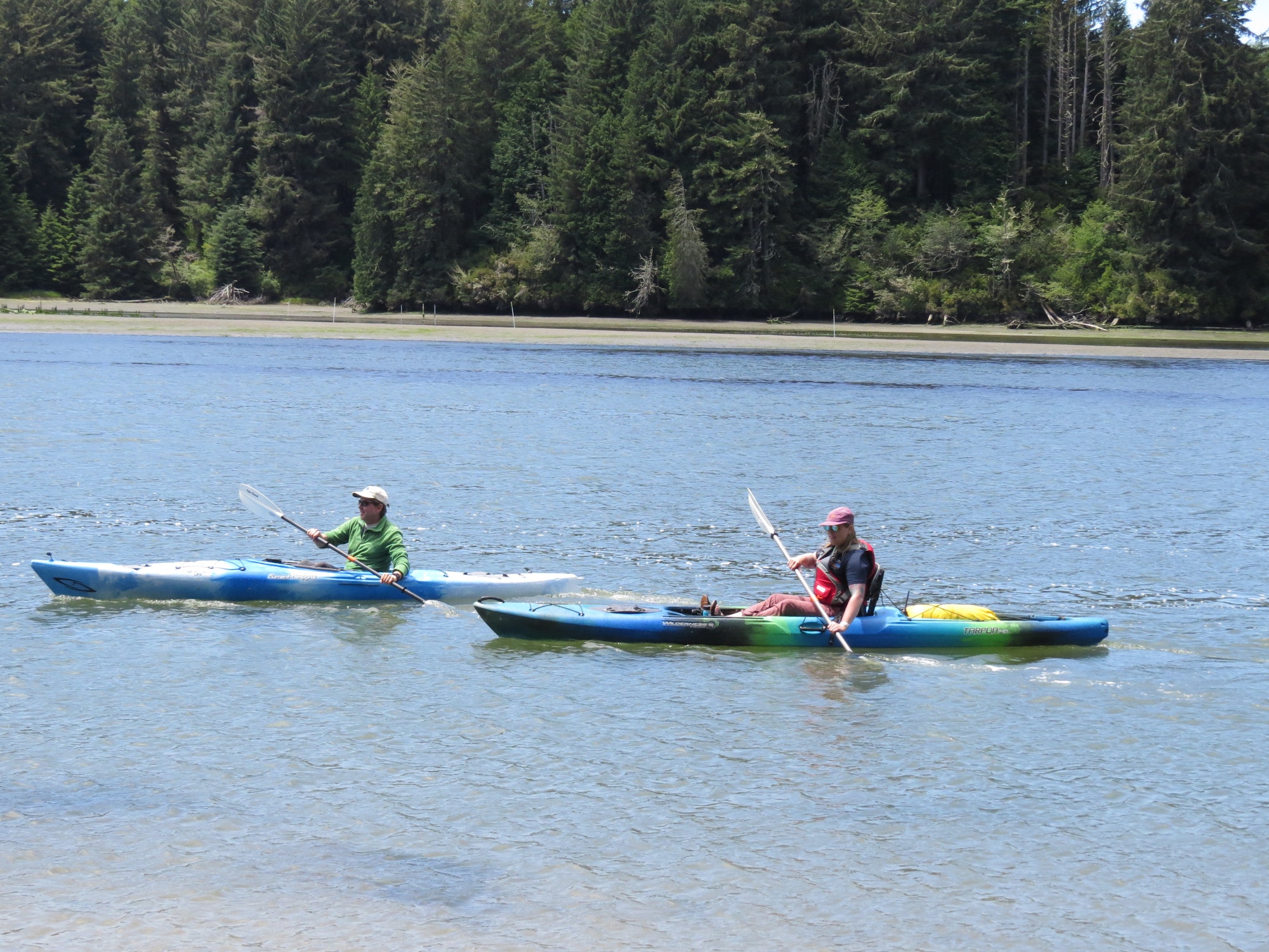 Two kayakers paddling across calm estuary waters with a forested shoreline in the background