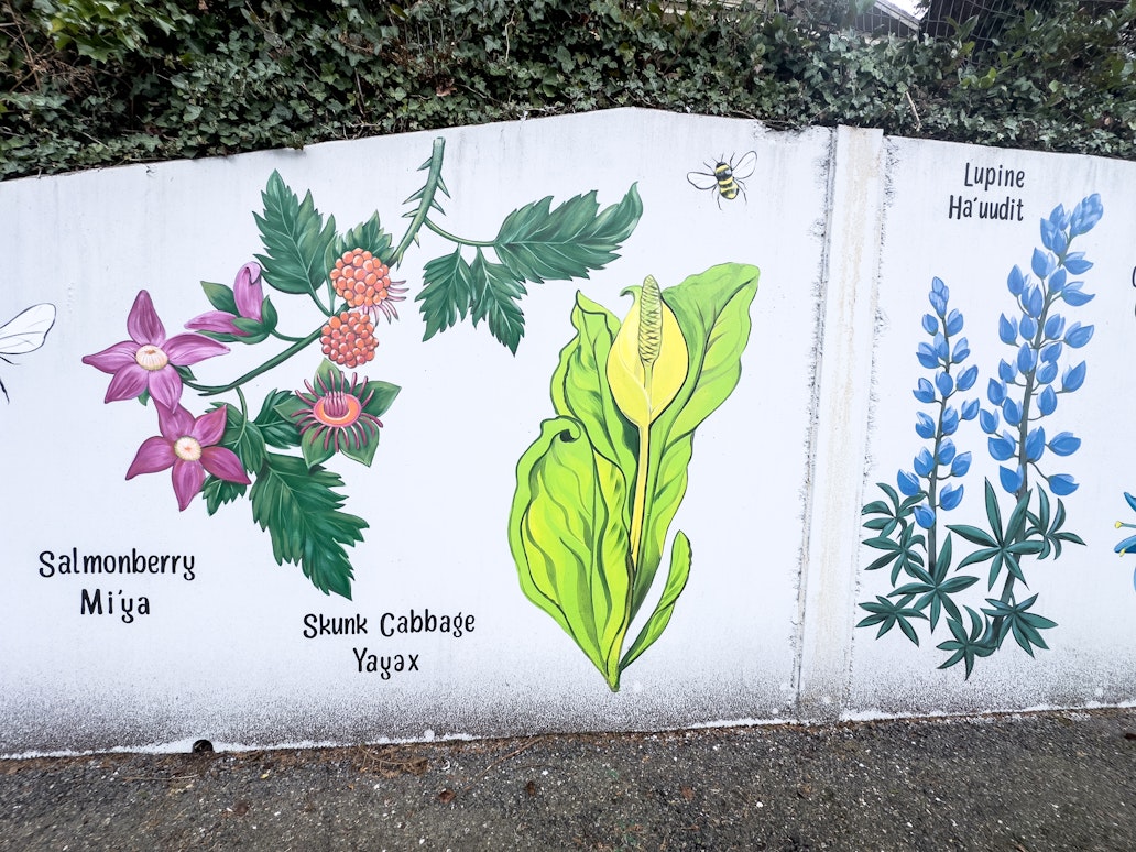 Close-up section of the Library Native Flower Mural near the Coos Bay Library showing illustrated salmonberry, skunk cabbage, and lupine plants, each labeled with names and painted alongside small bees and leaves. Close-up section of the Library Native Flower Mural near the Coos Bay Library showing illustrated salmonberry, skunk cabbage, and lupine plants, each labeled with names and painted alongside small bees and leaves.