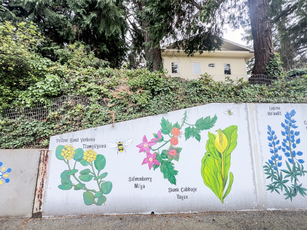Outdoor mural near the Coos Bay Library illustrating native Pacific Northwest plants, including yellow sand verbena, salmonberry, skunk cabbage, and lupine, each labeled with names and accompanied by small pollinators. Outdoor mural near the Coos Bay Library illustrating native Pacific Northwest plants, including yellow sand verbena, salmonberry, skunk cabbage, and lupine, each labeled with names and accompanied by small pollinators.
