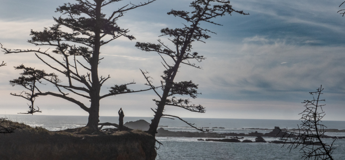 Exploring Nature Therapy on Oregon's Adventure Coast: Embrace, Release, Renew