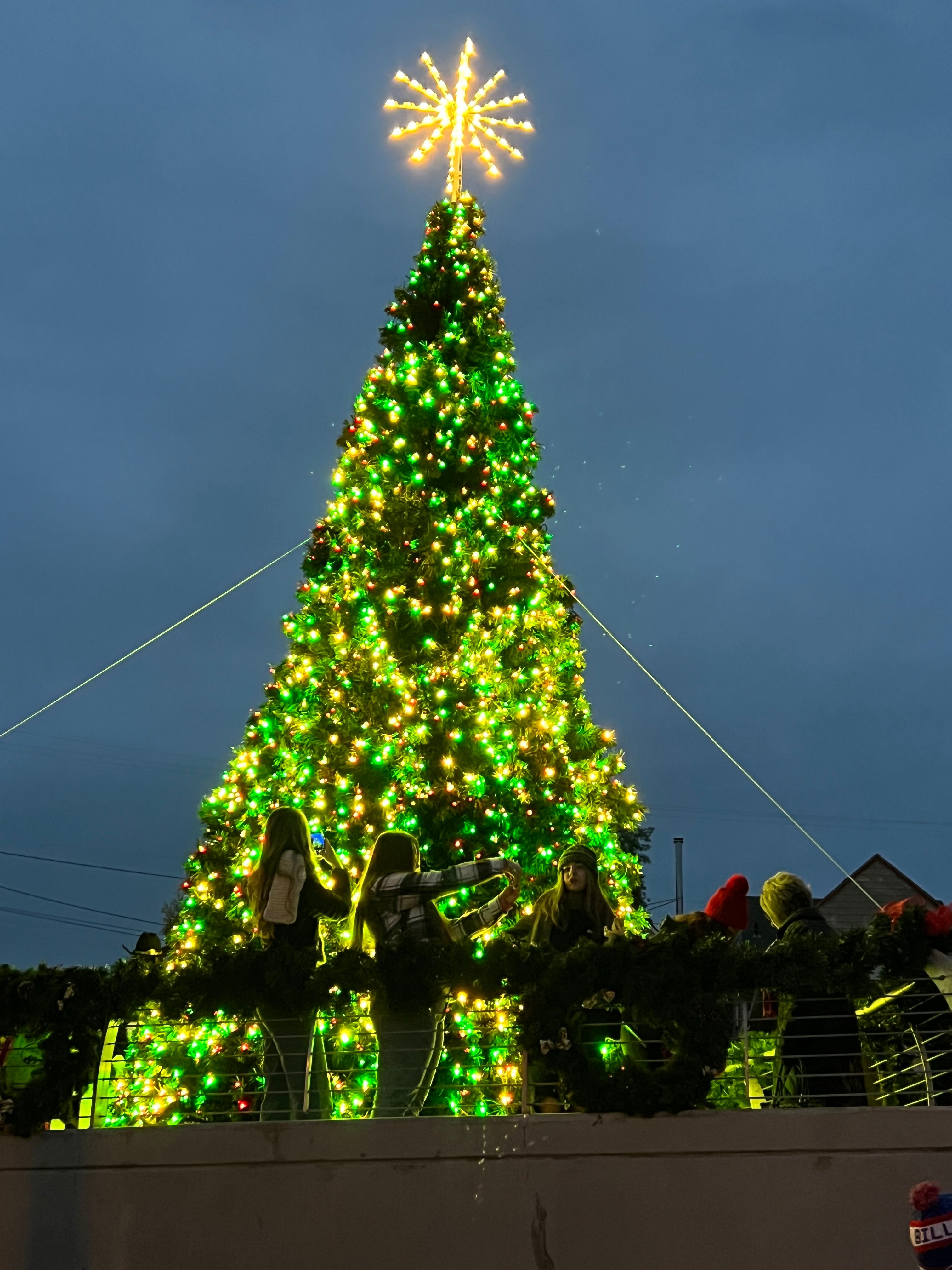 Bend Tree Lighting 2025