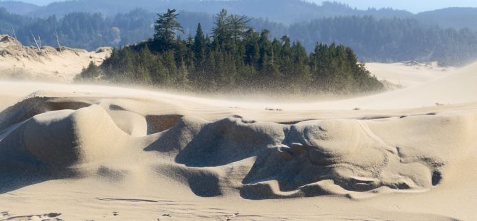 Top Ways to  Experience the Oregon Dunes National Recreation Area