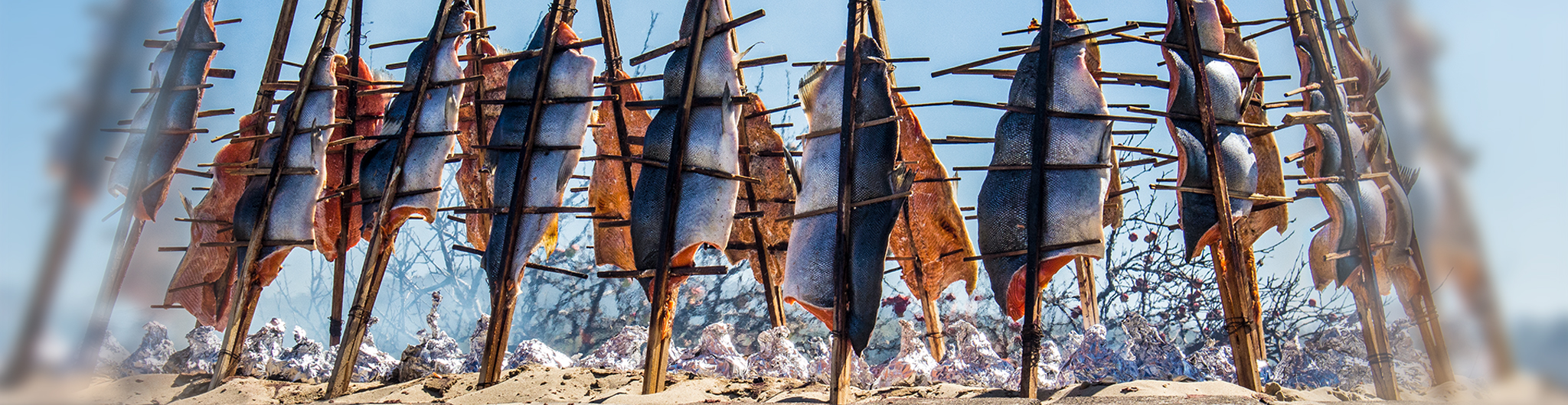 Annual MillLuck Salmon Celebration Oregon's Adventure Coast