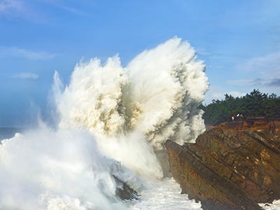 Scenic Drives - Charleston to Bandon Tour Route