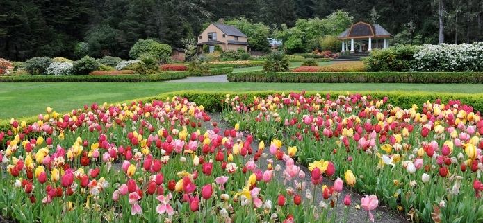 What's Blooming in Shore Acres State Park This Summer? 