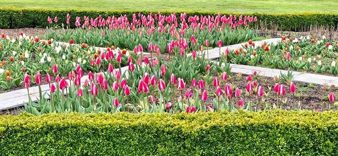 Spring and Summer Blooms at Shore Acres State Park