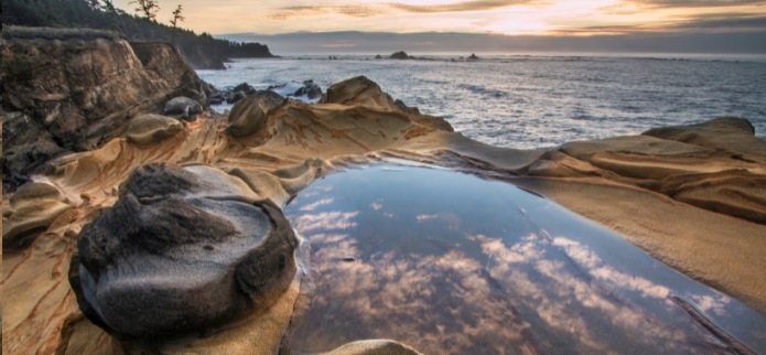 Taste, Create and Explore Your Way Through Oregon’s Adventure Coast May 6 – 8, 2022