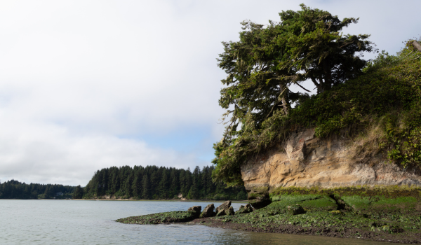 Why We Should Care About Estuaries Like South Slough National Estuarine Research Reserve 