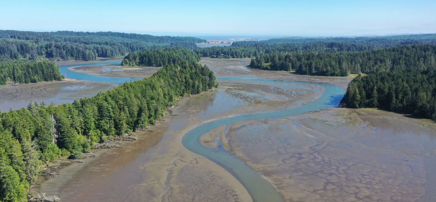 Add South Slough National Estuarine Research Reserve to Your Adventure List