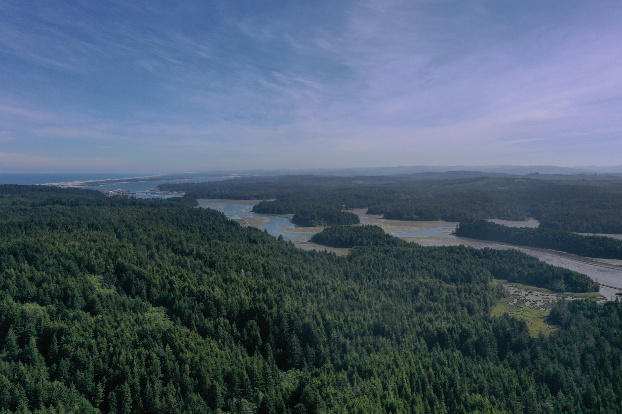Aerial view of a forested estuary landscape with a winding river leading out to the ocean