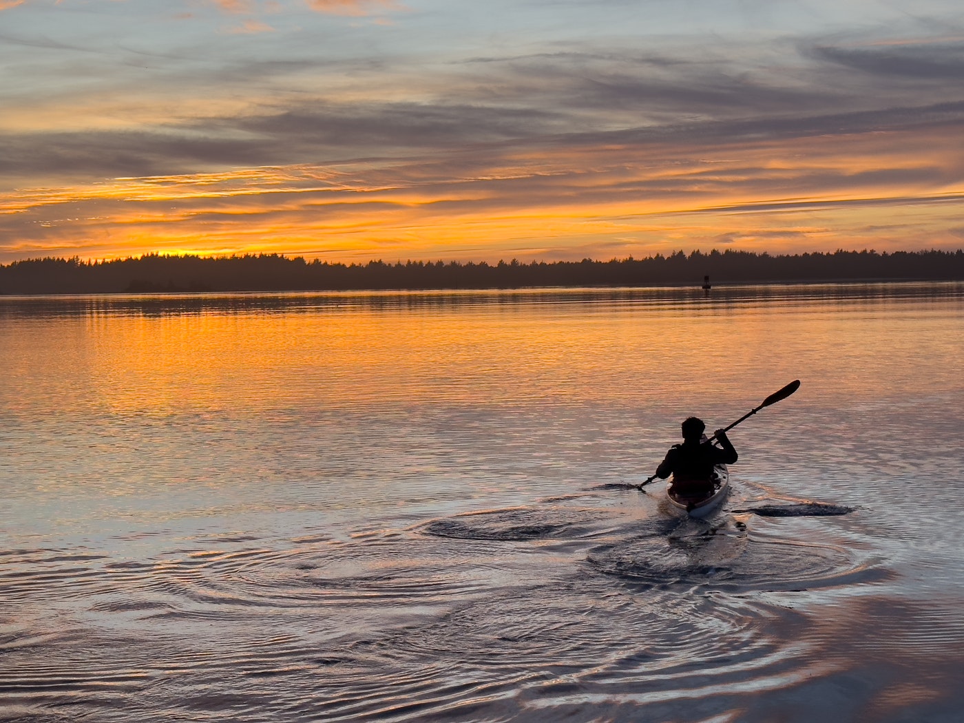 Silhouette of a person kayaking across calm water at sunset, with orange and gold reflections on the surface and a tree-lined shoreline in the distance.