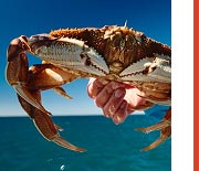 Crabbing on the Oregon's Adventure Coast