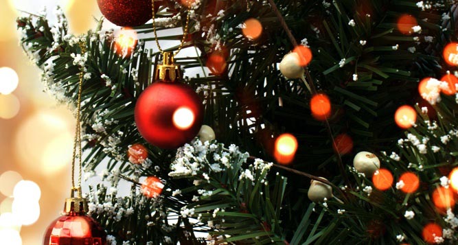 Christmas Tree Lighting 2022 Coos Bay Oregon Holiday Happenings On Oregon's Adventure Coast! | Oregon's Adventure Coast