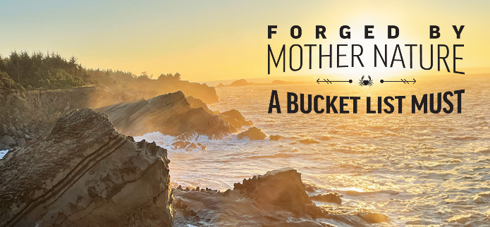 rugged cliffs on the southern Oregon coast at sunset